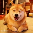 咖啡ORTEA